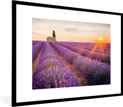 Produktbild von MuchoWow® Gerahmtes Poster Lavendel - Sonnenuntergang - Blumen - Lila 80x60 cm - Poster mit Schwarzem Bilderrahmen Wandposter Rahmen Foto Bilder - Schlafzimmer-Dekorationen - Fotoposter