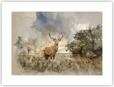 Produktbild von Poster - Poster ohne Rahmen - rotwild natur - 40x30 cm - Wand Bild - Wanddeko - Wandbilder - Kunstposter - Wandposter - Bilder - Kunstdruck - Wanddekoration - Wandbild - P2XAA40x30-3465