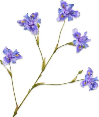 Produktbild von Silk-ka Künstliche Blume – Seidenblume, Iriszweig, Lavendel, 86 cm