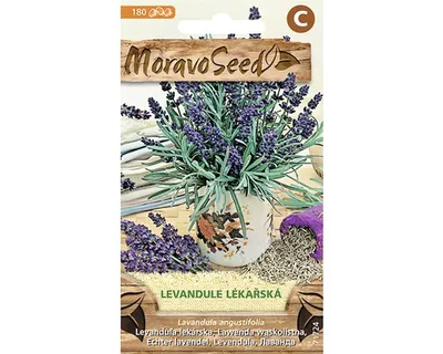 Zdjęcie produktu dla Medical Lavender 71724