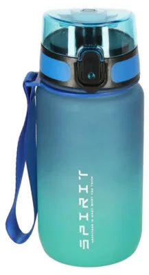 Image de Bouteille d'eau, gourde avec bec verseur sportif, sans BPA, 600 ml, bleu-vert