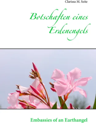 Produktbild von Botschaften eines Erdenengels