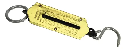 Produktbild von MASTERPROOF  Taschenfederwaage bis 12 kg
