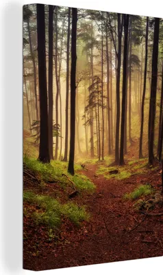 Obrázok produktu pre OneMillionCanvasses® - Obrazy na plátne - 90x140 cm, Stromy - Príroda - Les, Nástenná umelecká dekorácia - Fotografia na plátne - Maľba na drevenom ráme - Dekorácia na stenu - Spálňa