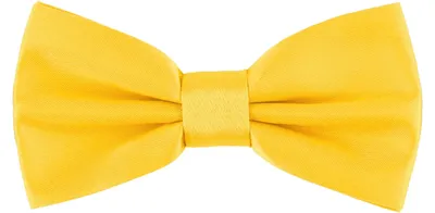 Produktbild von Ladeheid Kinder Jungen Fliege MJ (10cm x 5cm, Honey39)