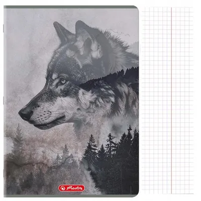 Zdjęcie produktu dla Zeszyt A4/96 # Herlitz Wild70G