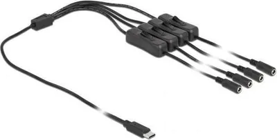 Image de DELOCK - Répartiteur de puissance - USB-C (M) à prise CC 5,5 x 2,1 mm (F) - 1,0m - noir (86802)
