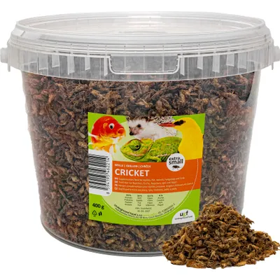 Produktbild von UGF Getrocknete Grillen 400g (3L) Eimer, Insektenfutter, Vogelfutter für Wildvögel, Schildkrötenfutter, Igelfutter, Eidechsenfutter, Fischfutter, Ganzjährig