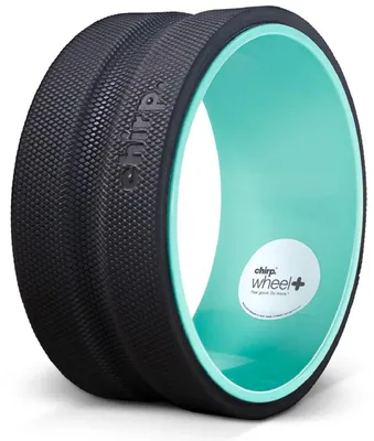 Immagine prodotto di CHIRP 25,4 cm Ruota Plus – Fest