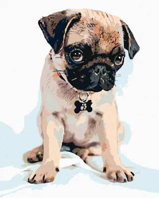 Produktbild von Diamondi - Diamond painting - SÜßER MOPS, 40X50 cm, ohne Keilrahmen