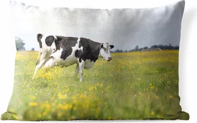 Produktbild von MuchoWow® Outdoor Kissen - Kuh - Gras - Blumen - 50x30 cm - Wetterfest - Lounge Kissen - Sofa kissen - Wohnzimmer Dekoration