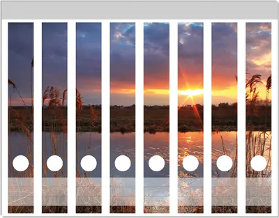 Produktbild von Wallario Ordnerrücken Sticker, selbstklebend für schmale Ordner, 8 Stück, Motiv Sonnenuntergang über dem Fluss, Gräser im Wind