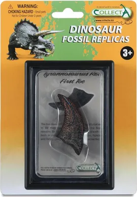 Produktbild von Tyrannosaurus-Klaue in einem Paket