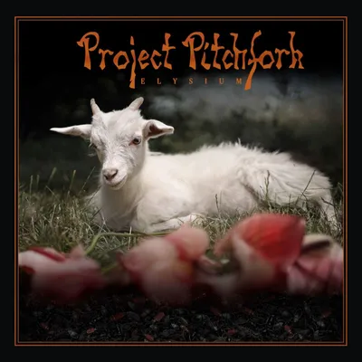Imagen del producto de Elysio