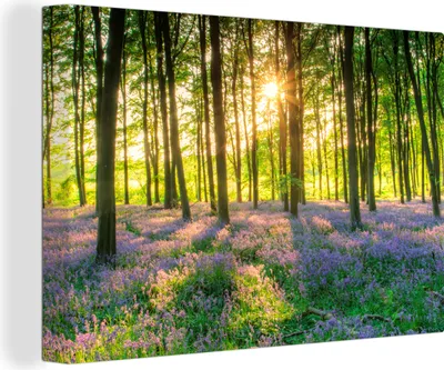 Produktbild von MuchoWow® - Leinwandbilder - Frühling - Wald - Sonne, Wandbild, Wanddeko Bilder Wohnzimmer, 90x60cm