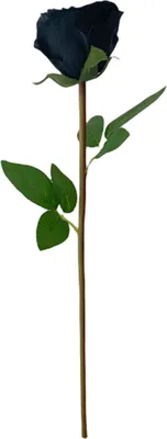 Produktbild von 1 Zweig Künstliche Blume lebendige Aussehen ohne Bewässerung Faux Seidensimulation Rose Blume DIY Hochzeitsstrauß Nachbildung für Hotel-Schwarz
