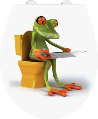Image de WENKO Siège WC Couvercle WC FROG NEWS Abaissement automatique Grenouille Salle de bain Acrylique