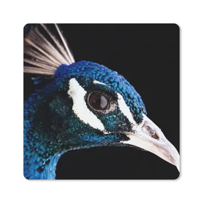 Produktbild von MuchoWow® Mauspad Mousepad Pfau - Tier - Blau 20x20 cm - Mousepads - Maus Mat - Pad - Mausunterlage - Desk Mat - Bureauartikeln