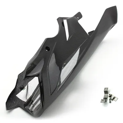 Produktbild von Carbon Bugspoiler für BMW S 1000 R 2014-2020