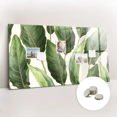 Obrázek produktu pro Magnetická Tabule na Zeď Skleněná - Memo Board Kleněnou Přední Stranou - 5 magnetů v balení - 120x60 cm - Palmové listy
