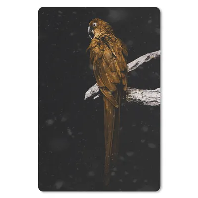 Produktbild von MuchoWow® Mauspad Mousepad Papagei - Vogel - Gold 18x27 cm - Mousepads - Maus Mat - Pad - Mausunterlage