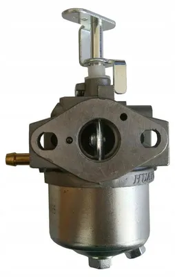 Immagine prodotto di Motore per tosaerba WR1P56F con carburatore e pompa