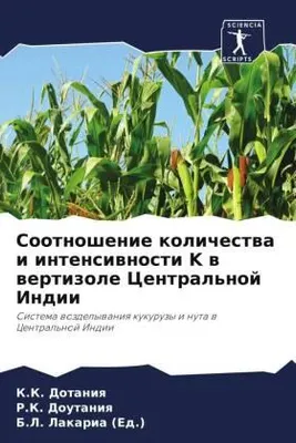 Produktbild von Sootnoshenie kolichestwa i intensiwnosti K w wertizole Central'noj Indii