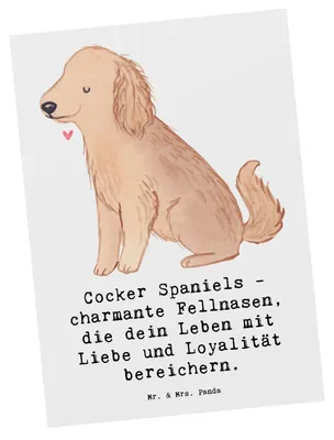 Produktbild von Mr. & Mrs. Panda Postkarte Cocker Spaniel Liebe - Weiß - Geschenk, Hunderasse, Hunderassen Vielfalt, Beschreibung, fröhliche Haustiere, energiegeladener Hund, Grußkarte