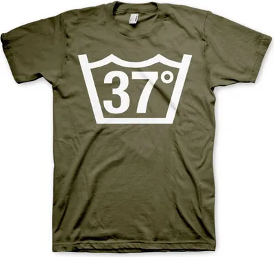 Produktbild von 37 Celcius Tee - Large - Olive