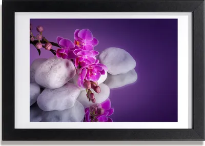 Produktbild von Bild 30x20 MDF-Rahmen, Wandkunst Orchidee