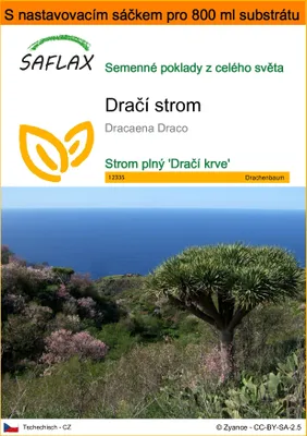Obrázek produktu pro SAFLAX Garden in the bag - dračí strom - Dracaena Draco - 5 Semena - S pěstebním substrátem v praktickém samovztyčovacím sáčku