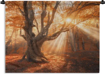 Produktbild von MuchoWow® Wandteppich Wandbehang Baum - Natur - Herbst 90x67.5 cm Tapisserie Dekoration Wandtuch - Fototeppich - Wand-Skulpturen