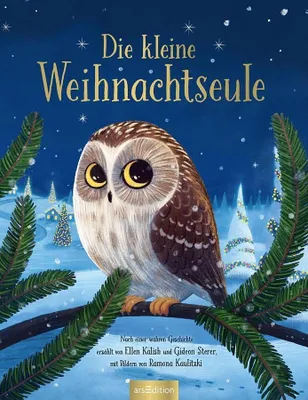 Produktbild von Die kleine Weihnachtseule