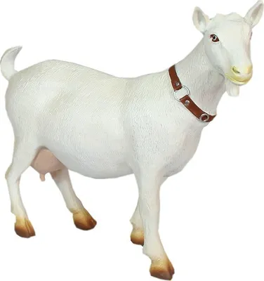 Produktbild von Deko Ziege Mecki Ziege Figur Ziegen Gartenfigur XL Tierfigur Dekofigur Ziege handbemalt