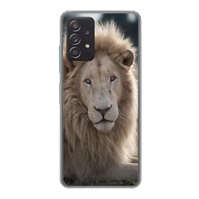 Produktbild von MuchoWow® Handyhülle Schutzhülle Hülle für Samsung Galaxy A53 5G Löwe - Tier - Weiß Silikon Softcase Handy Hülle - Schutzabdeckung