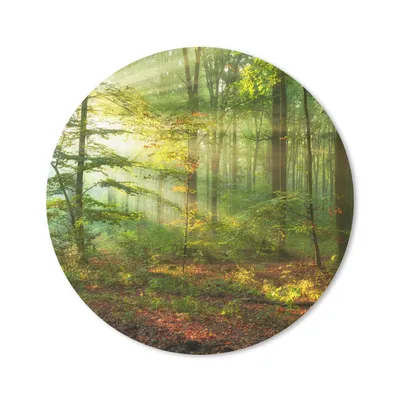 Produktbild von MuchoWow® Mauspad Mousepad Sonne - Wald - Bäume - Natur - Herbst 20x20 cm - Mousepads - Maus Mat - Pad - Mausunterlage - Schreibtischmatte