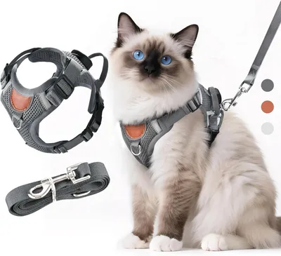 Imagen del producto de Arnés para gatos ajustable, con correa, con bandas reflectantes, transpirable, talla S, para gatos