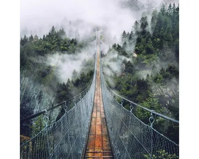 Produktbild von Glasbild Suspension Bridge 50x50 cm