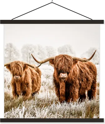 Produktbild von MuchoWow® Textilposter Schottisches Hochlandrind - Kuh - Tiere 120x120 cm mit schwarzem Rahmen - Aufhängungsset