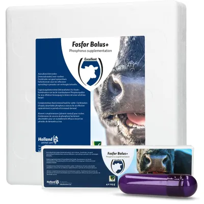 Productafbeelding van H.A.C. Fosfor Bolus+ 4 stuks