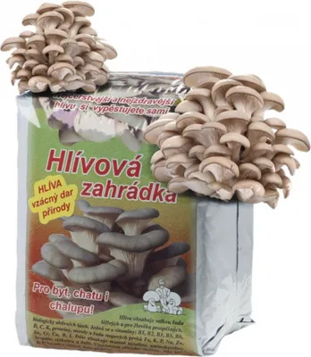 Produktbild von Substrát - súprava na pestovanie hlivy ustricovej
