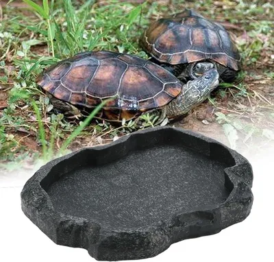 Terrariendekoration, Hauptbild