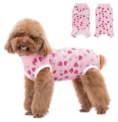Imagen del producto de Traje de recuperación para perros con protección para heridas, adecuado para perros pequeños y medianos, de color fresa