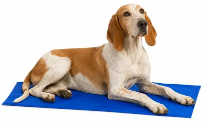 Immagine prodotto di tappetino rinfrescante lionto, gradevole raffreddamento per cani e gatti, auto-raffreddante e sicuro, ideale per l'estate e i viaggi, 120x80 cm, blu