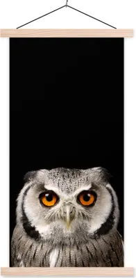 Produktbild von MuchoWow® Textilposter Porträt Eule 60x120 cm mit holzfarbenen Rahmen - Holz