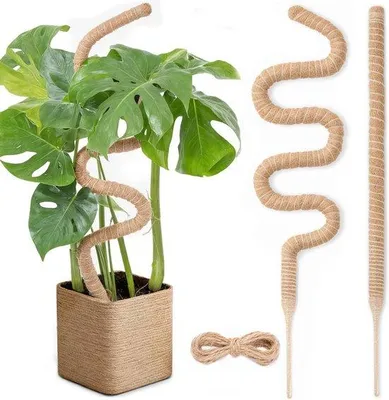 Produktbild von Famanu Moosstab für Kletterpflanzen - 2 Stück à 120 cm