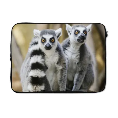 Produktbild von MuchoWow® Laptop Hülle 13 Zoll Affe - Ringschwanzlemur - Tier Laptoptasche - Laptophülle - Sleeve - Rundumschutz
