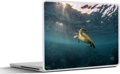 Produktbild von MuchoWow® Laptop Aufkleber Sticker Cover Schildkröte im klaren Wasser 30x21 cm - Sticker für Laptop - Selbstklebend