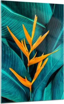 Produktbild von Bilder auf glas - Einteilig - Blumen Tropen Blätter - 70x100cm - Glasbilder - Wandbilder - Bilder - zum Aufhängen bereit - Wanddekoration aus Glas - Glas Bilder - Wandbild auf Glas - GPA70x100-5116