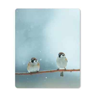 Produktbild von MuchoWow® Mauspad Mousepad Vögel - Spatz - Schnee - Winter 30x40 cm - Mousepads - Maus Mat - Pad - Mausunterlage - Mausmatten